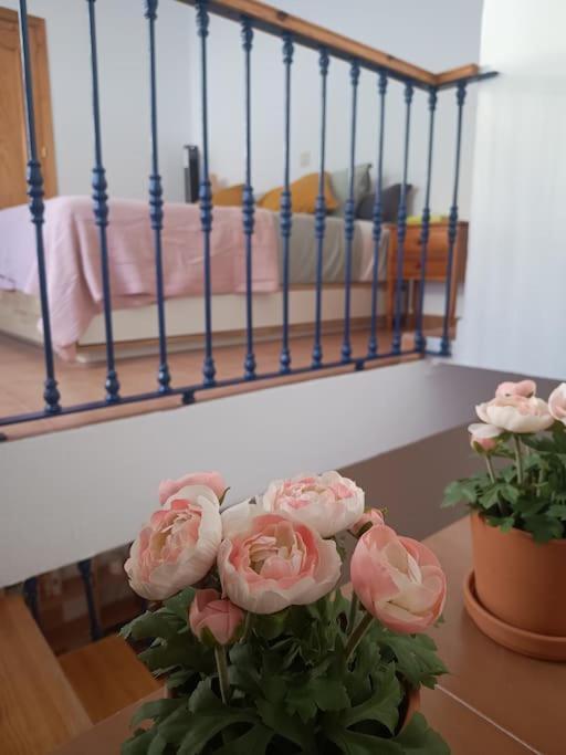 Casa Heli - Ruim Appartement Met Dakterras In Polopos 외부 사진
